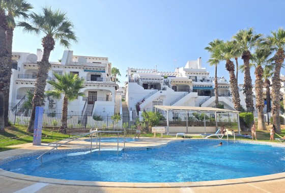 Segunda Mano - Apartamento - Villamartin - Verdemar