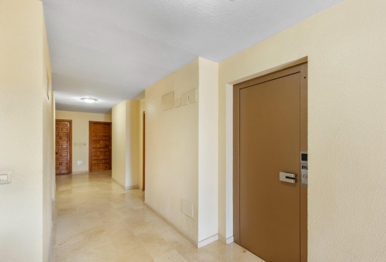 Segunda Mano - Apartamento - Torrevieja - La Mata pueblo