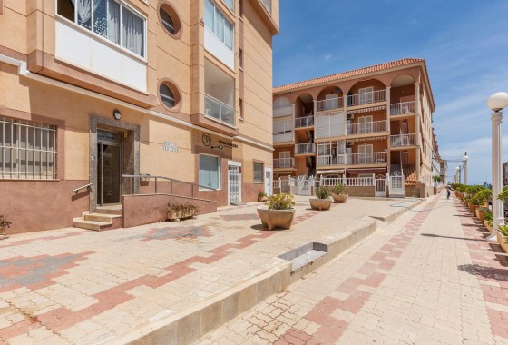 Segunda Mano - Apartamento - Torrevieja - La Mata pueblo