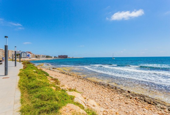 Segunda Mano - Apartamento - Torrevieja - La Mata pueblo