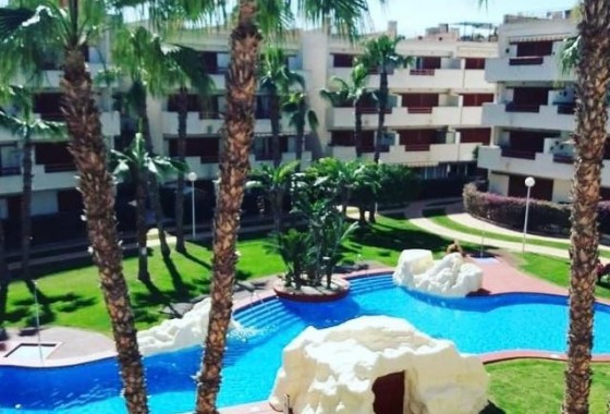 Segunda Mano - Apartamento - Orihuela Costa - Playa Flamenca