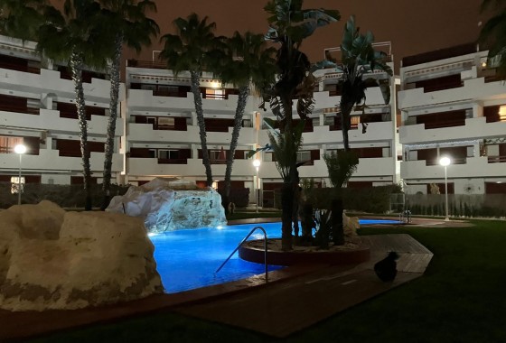 Segunda Mano - Apartamento - Orihuela Costa - Playa Flamenca