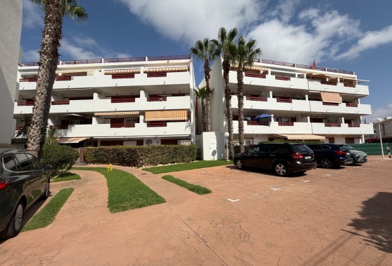 Segunda Mano - Apartamento - Orihuela Costa - Playa Flamenca