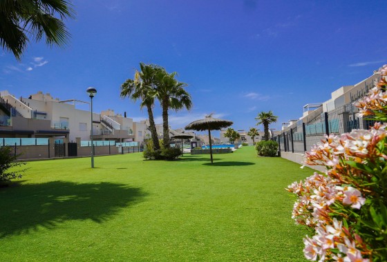 Segunda Mano - Apartamento - Torrevieja - Aguas nuevas 1