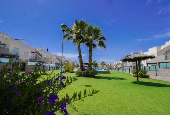 Segunda Mano - Apartamento - Torrevieja - Aguas nuevas 1