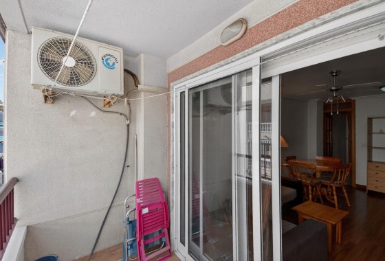 Segunda Mano - Apartamento - Torrevieja - Parque de las Naciones