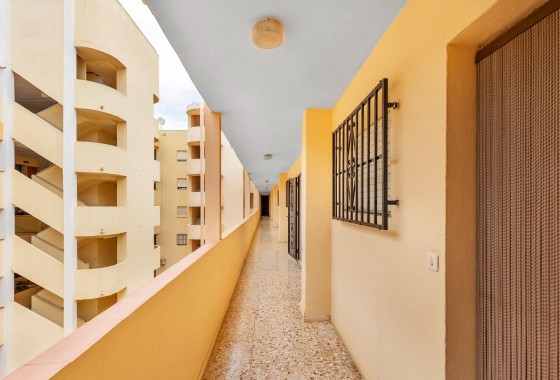 Segunda Mano - Apartamento - Guardamar del Segura - CENTRO
