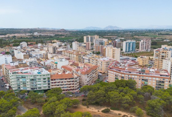 Segunda Mano - Apartamento - Guardamar del Segura - CENTRO