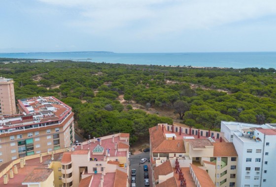 Segunda Mano - Apartamento - Guardamar del Segura - CENTRO