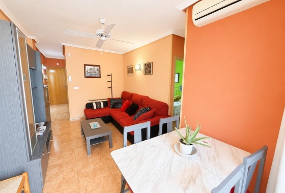 Segunda Mano - Apartamento - Torrevieja - Estacion de autobuses
