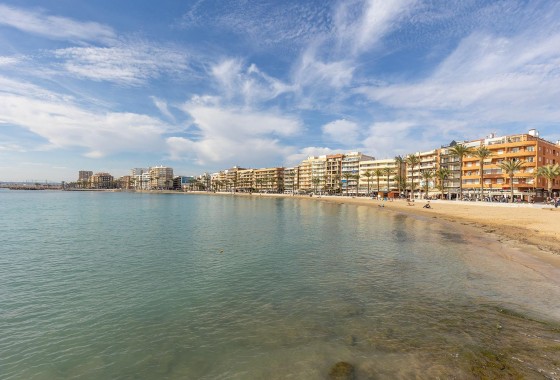 Segunda Mano - Apartamento - Torrevieja - Estacion de autobuses