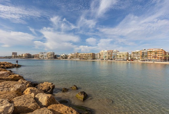 Segunda Mano - Apartamento - Torrevieja - Estacion de autobuses
