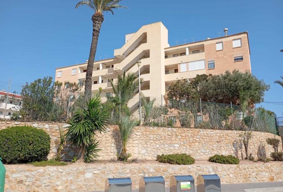 Segunda Mano - Apartamento - Mil Palmeras - Costa Blanca