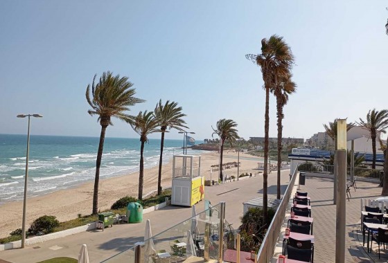 Segunda Mano - Apartamento - Mil Palmeras - Costa Blanca