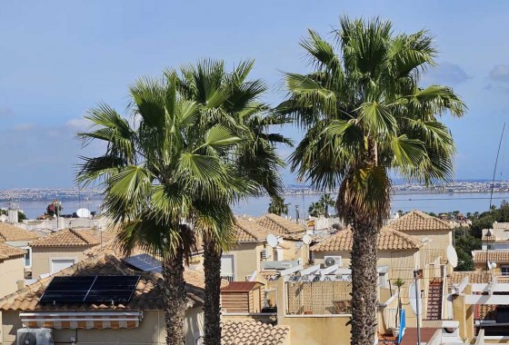 Revente - Appartement - Los Altos - Dream Hills