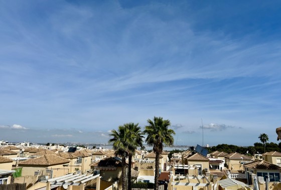 Revente - Appartement - Los Altos - Dream Hills