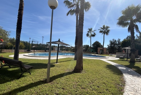 Revente - Appartement - Los Altos - Dream Hills