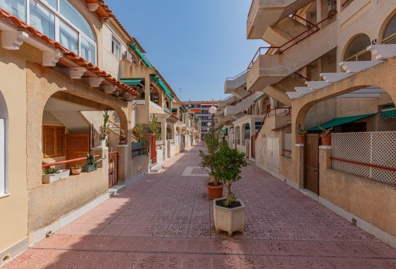 Revente - Appartement - Torrevieja - Acequion