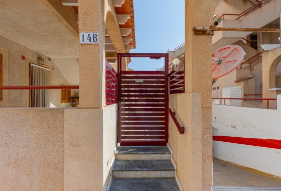 Revente - Appartement - Torrevieja - Acequion