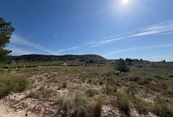 Revente - Terrain - Torremendo - Costa Blanca