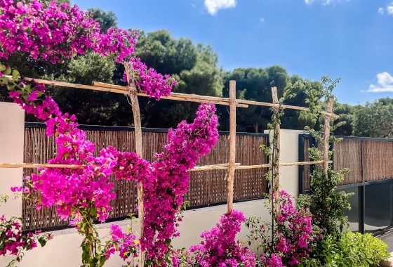 Revente - Appartement - Santiago de la ribera - Costa Calida