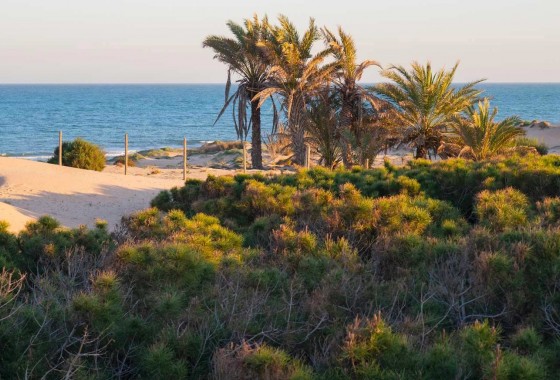 Revente - Appartement - Guardamar del Segura - Costa Blanca