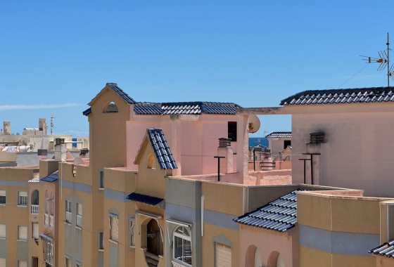 Revente - Appartement - Torrevieja - Gaspar Perrelló