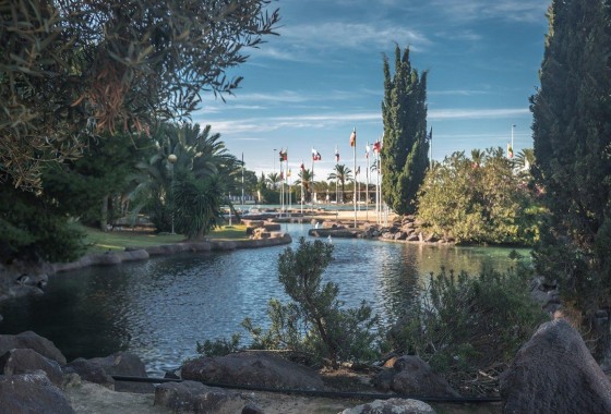 Revente - Appartement - Torrevieja - Parque las naciones