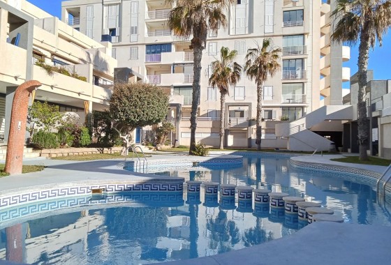 Revente - Appartement - Torrevieja - Playa De La Mata