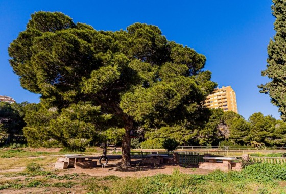 Revente - Duplex - Orihuela Costa - Costa Blanca