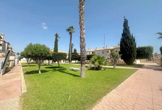 Revente - Bungalow - Torrevieja - Aguas nuevas 1