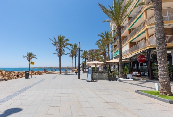 Revente - Appartement - Torrevieja - Paseo maritimo