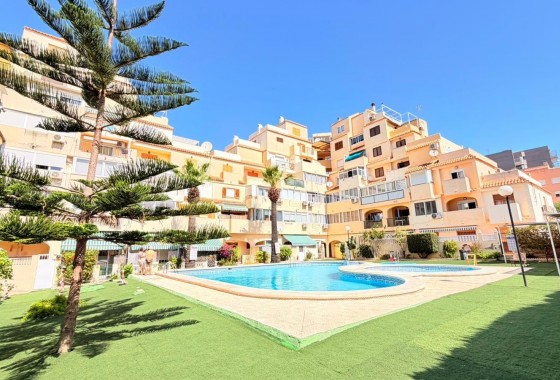 Revente - Appartement - Torrevieja - Nueva Torrevieja