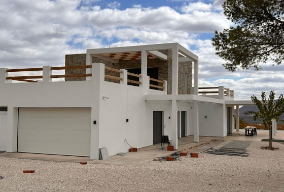 Nouvelle construction - Villa - Pinoso - Casas Pastor