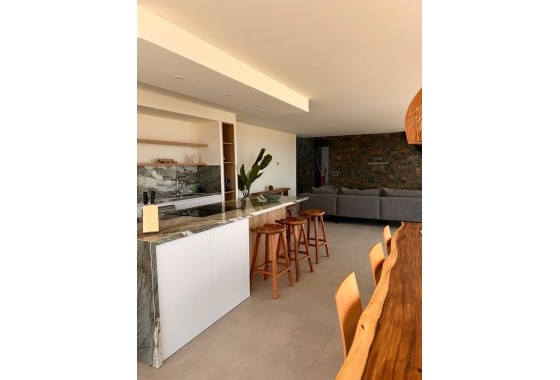 Nouvelle construction - Villa - Pinoso - Casas Pastor