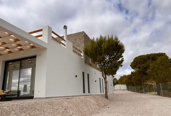 Nouvelle construction - Villa - Pinoso - Casas Pastor