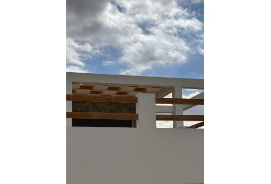 Nouvelle construction - Villa - Pinoso - Casas Pastor