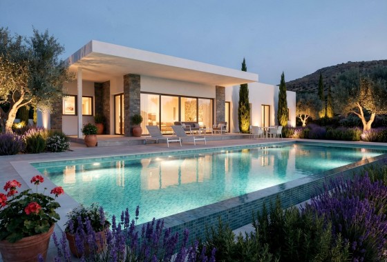 Nouvelle construction - Villa - Pinoso - Casas Pastor