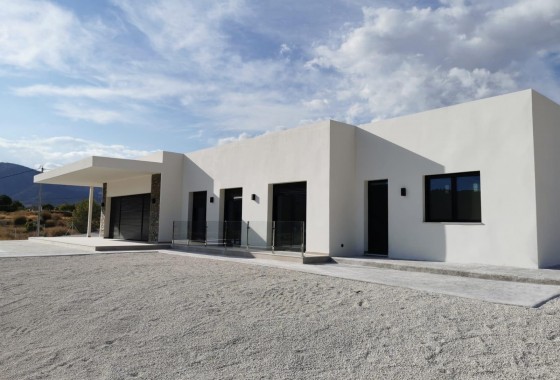 Nouvelle construction - Villa - Pinoso - Casas Pastor