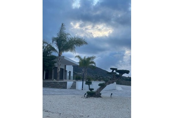 Nouvelle construction - Villa - Pinoso - Casas Pastor