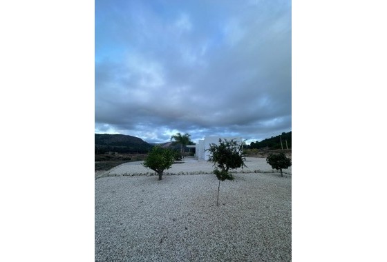 Nouvelle construction - Villa - Pinoso - Casas Pastor