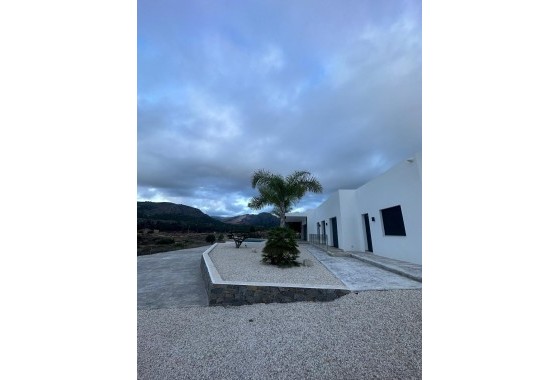 Nouvelle construction - Villa - Pinoso - Casas Pastor