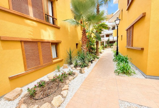 Revente - Appartement - Punta Prima