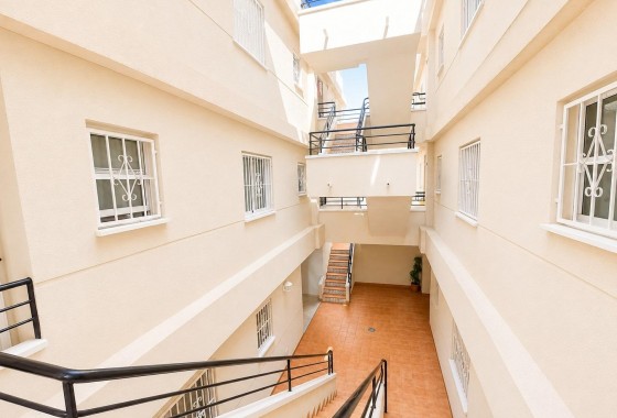 Revente - Appartement - Torrevieja - Estacion de autobuses