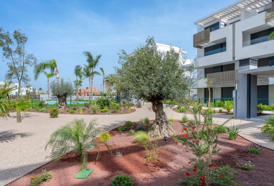 Segunda Mano - Apartamento - Los Alcázares - Santa Rosalia Lake and Life Resort