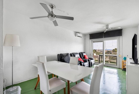 Segunda Mano - Apartamento - Torrevieja - Acequion