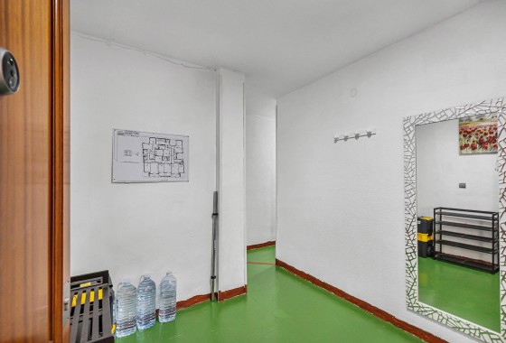 Segunda Mano - Apartamento - Torrevieja - Acequion
