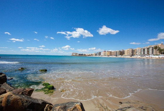 Segunda Mano - Apartamento - Torrevieja - Acequion