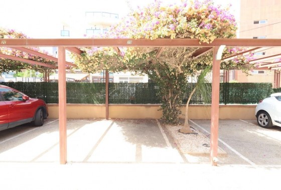Resale - Apartment - Orihuela Costa - La Regia