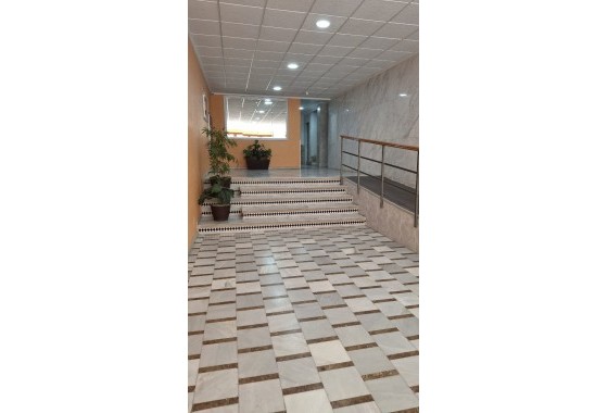 Segunda Mano - Apartamento - Torrevieja - Playa Acequion